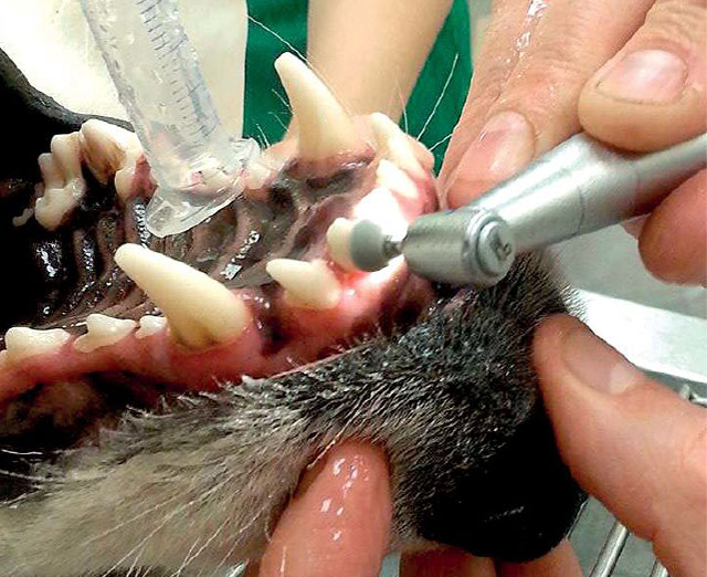 Vyhlazení korunky pomocí zubního kotouče.