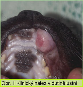 Klinický nález v dutině ústní